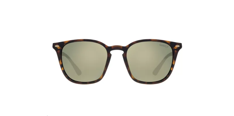 2025 Sinner Dagmar Sunglasses Tortoise/Gold Polarized Lens-2